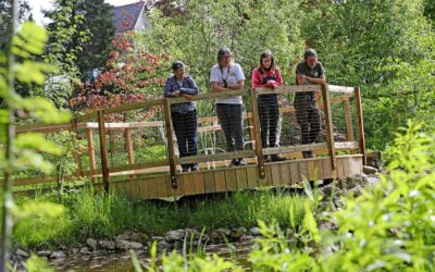 Lucy’s army of woodland wonderland volunteers is transforming lives