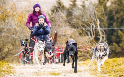 Campaign launched to urge tourists to try Hiraethog instead of hotspots like Eryri