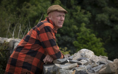 Thousands flock to major celebration of Welsh country life