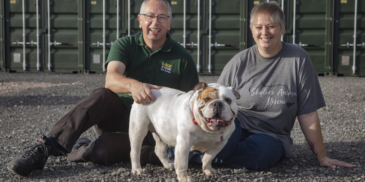 Flintshire dog rescue founder warns of backyard breeders and puppy farms