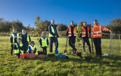 Blooming marvellous project takes root in housing estate