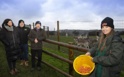 Why feeding Brussel sprouts to zoo animals during run-up to Christmas is helping to save the planet