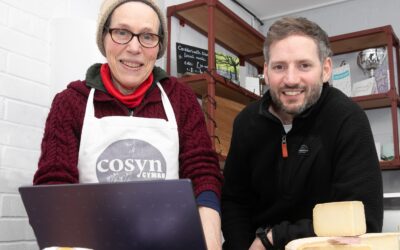 Pioneering project helps Gwynedd firms go digital