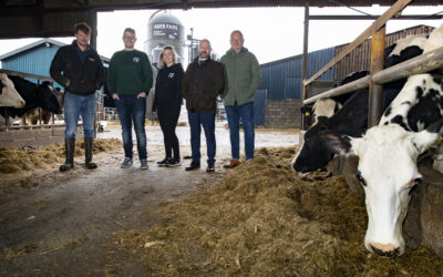 Whisky maker keeps the cows happy on the road to net zero