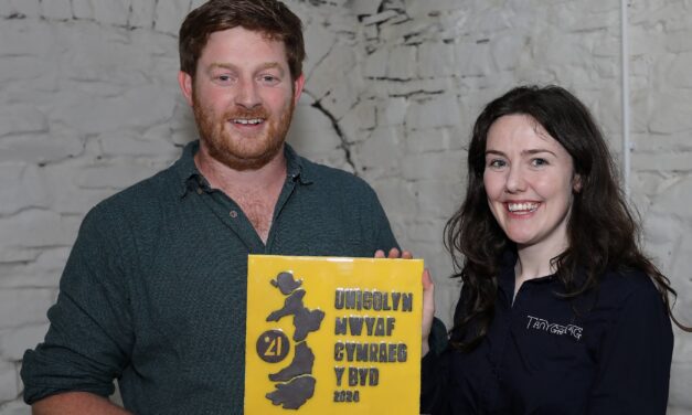 Talented Carmarthenshire carpenter Geraint crafts a new future and clinches award