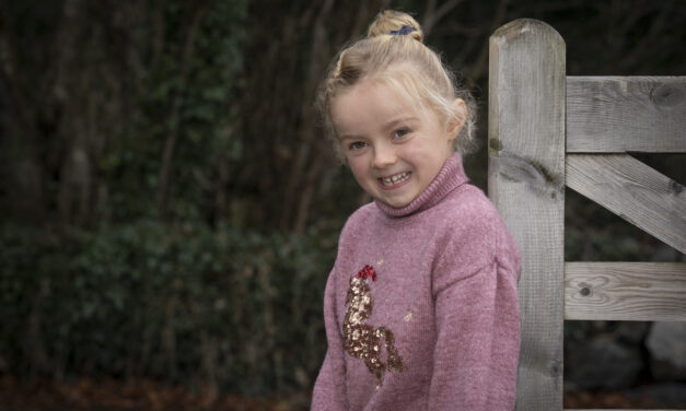 Young star Nel, five, shines in TV role with Twin Town actor Llyr Evans