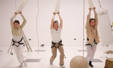 Adventurous audience members can fly high with vertical dance company