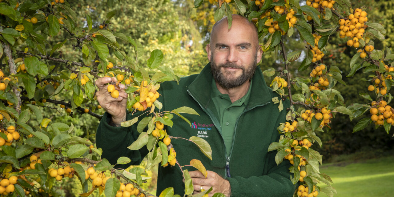 Award-winning gardener Mark uses bargain finds to transform courtyard for just a few hundred pounds