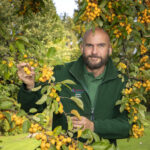 Award-winning gardener Mark uses bargain finds to transform courtyard for just a few hundred pounds