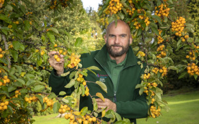 Award-winning gardener Mark uses bargain finds to transform courtyard for just a few hundred pounds