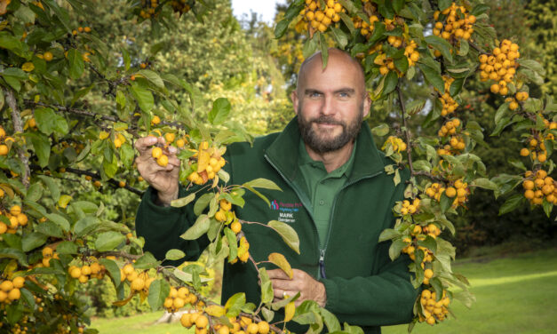 Award-winning gardener Mark uses bargain finds to transform courtyard for just a few hundred pounds