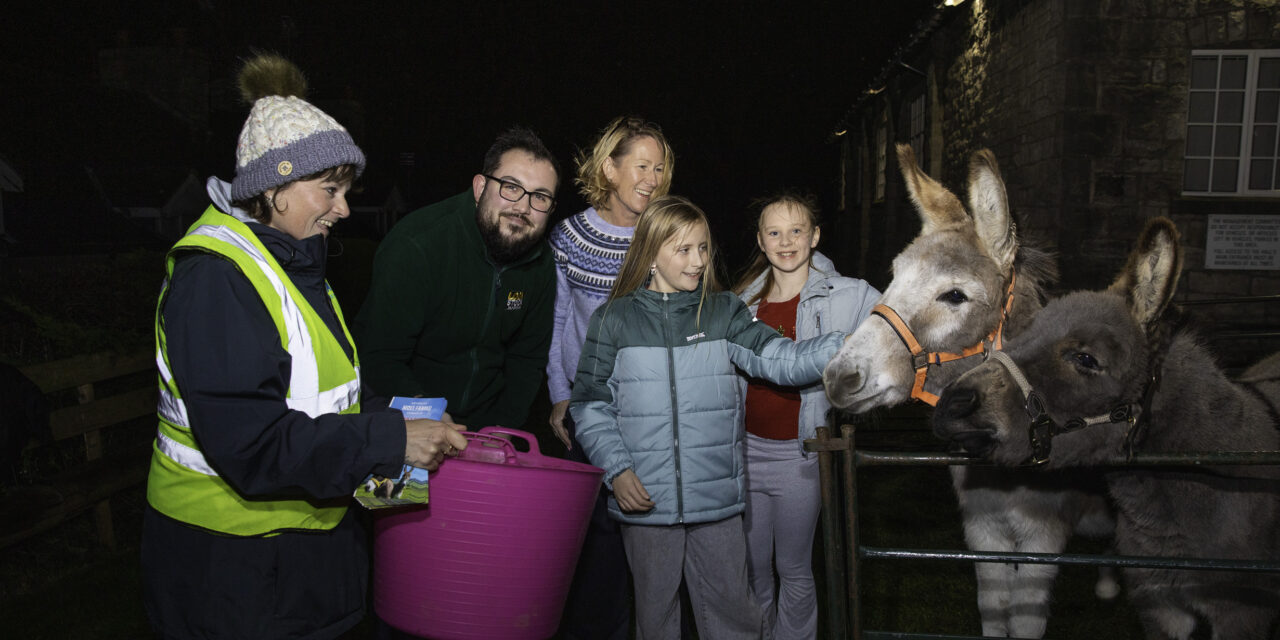 Donkey delight as rescue duo bring festive magic to Denbighshire school fair