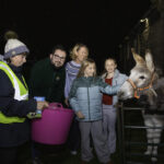Donkey delight as rescue duo bring festive magic to Denbighshire school fair