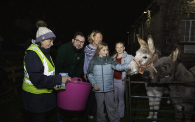 Donkey delight as rescue duo bring festive magic to Denbighshire school fair