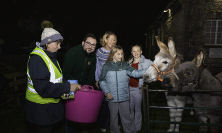 Donkey delight as rescue duo bring festive magic to Denbighshire school fair