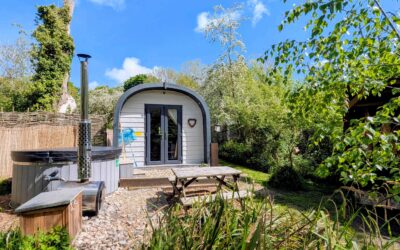 Peaky Blinders actor Nic is now a star of North Wales tourism after winning award