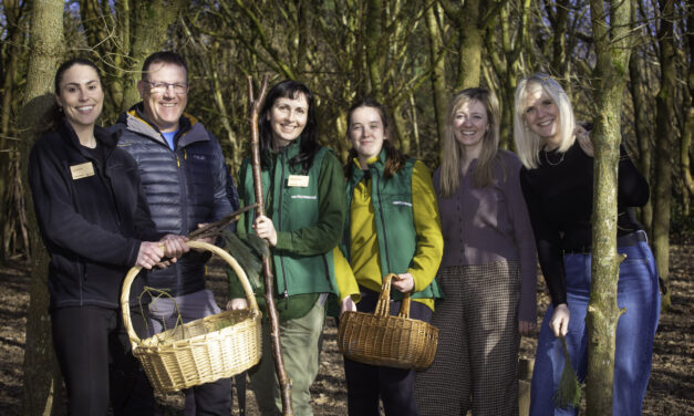 “Inside Venturewood”: Cheshire charity launches new autism-friendly forest sessions 
