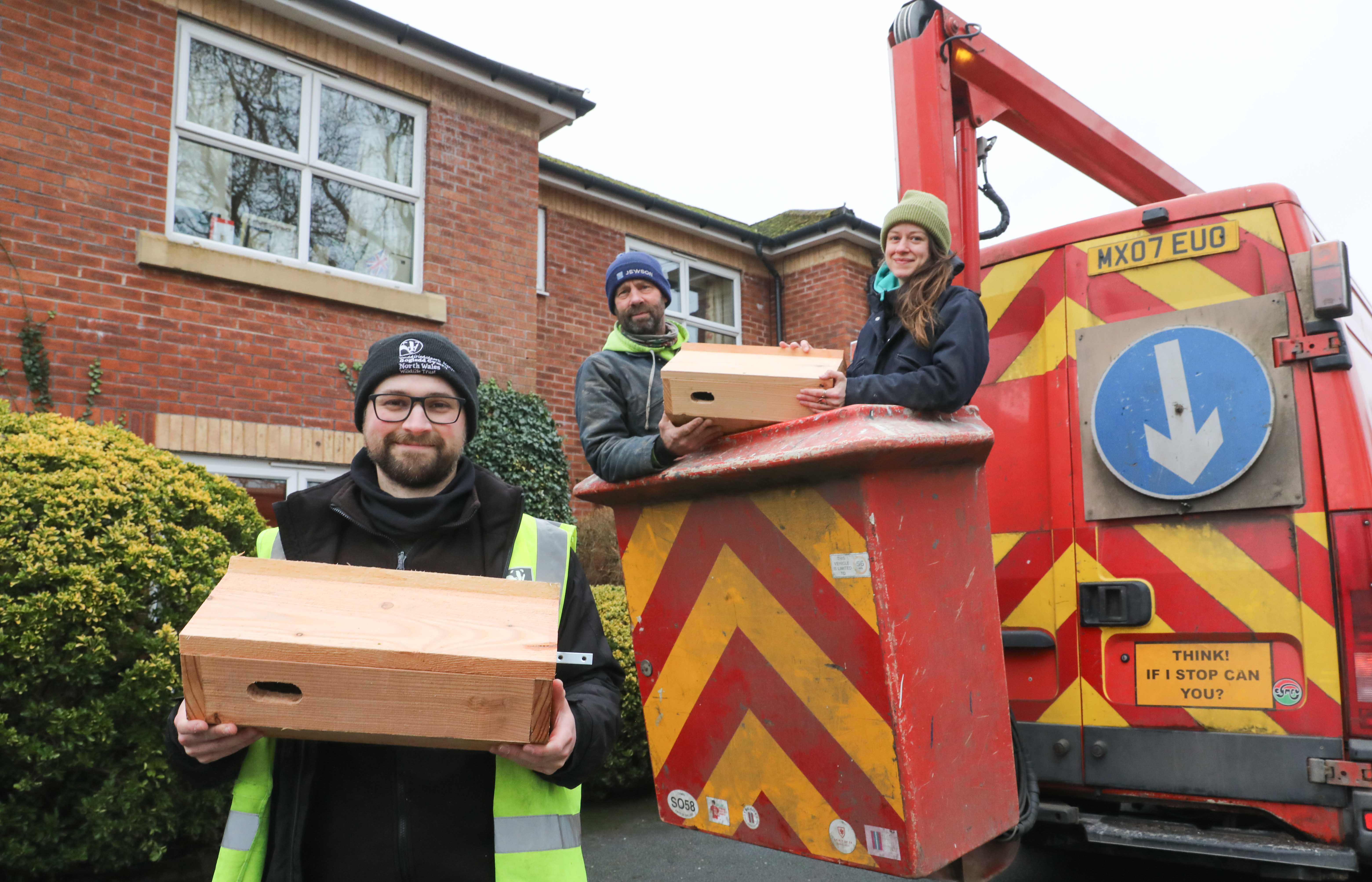 North Wales care homes step in to save Wales’ disappearing swifts