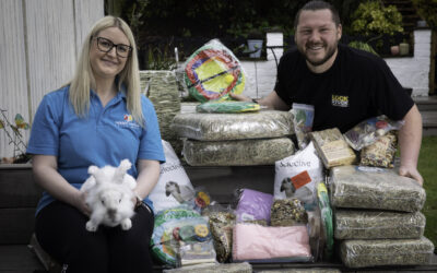 Bin-day bunny shock: Abandoned Easter rabbits spark rescue crisis