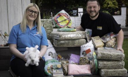 Bin-day bunny shock: Abandoned Easter rabbits spark rescue crisis