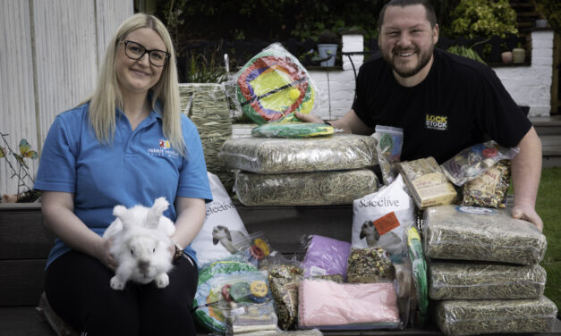 Bin-day bunny shock: Abandoned Easter rabbits spark rescue crisis