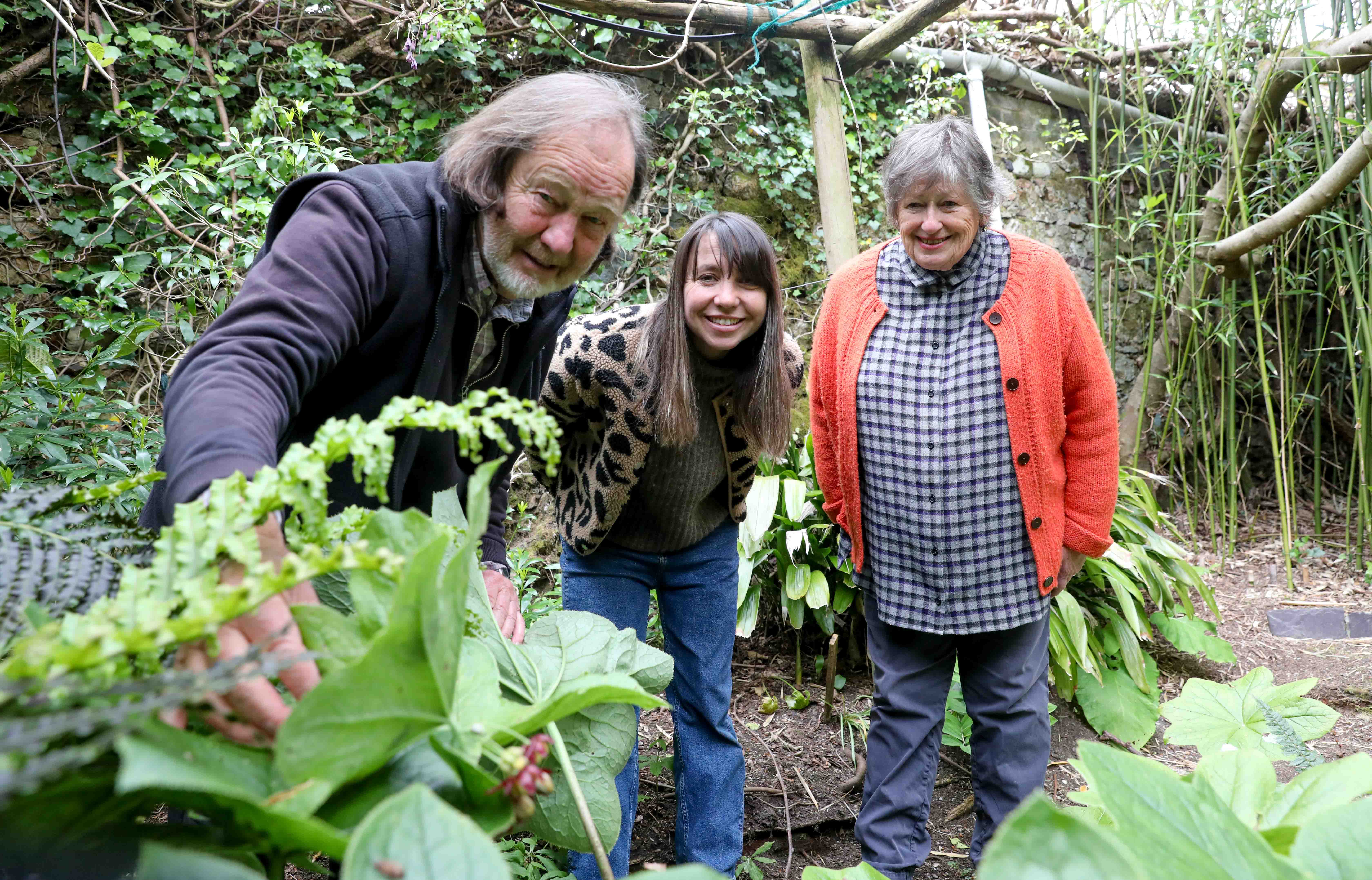 Machete gang terror, jungle raids…then a royal seal for North Wales plant hunters