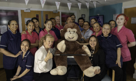 Meet Mickey the Monkey – the giant raffle prize helping a baby boy’s fight for survival