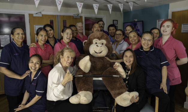 Meet Mickey the Monkey – the giant raffle prize helping a baby boy’s fight for survival