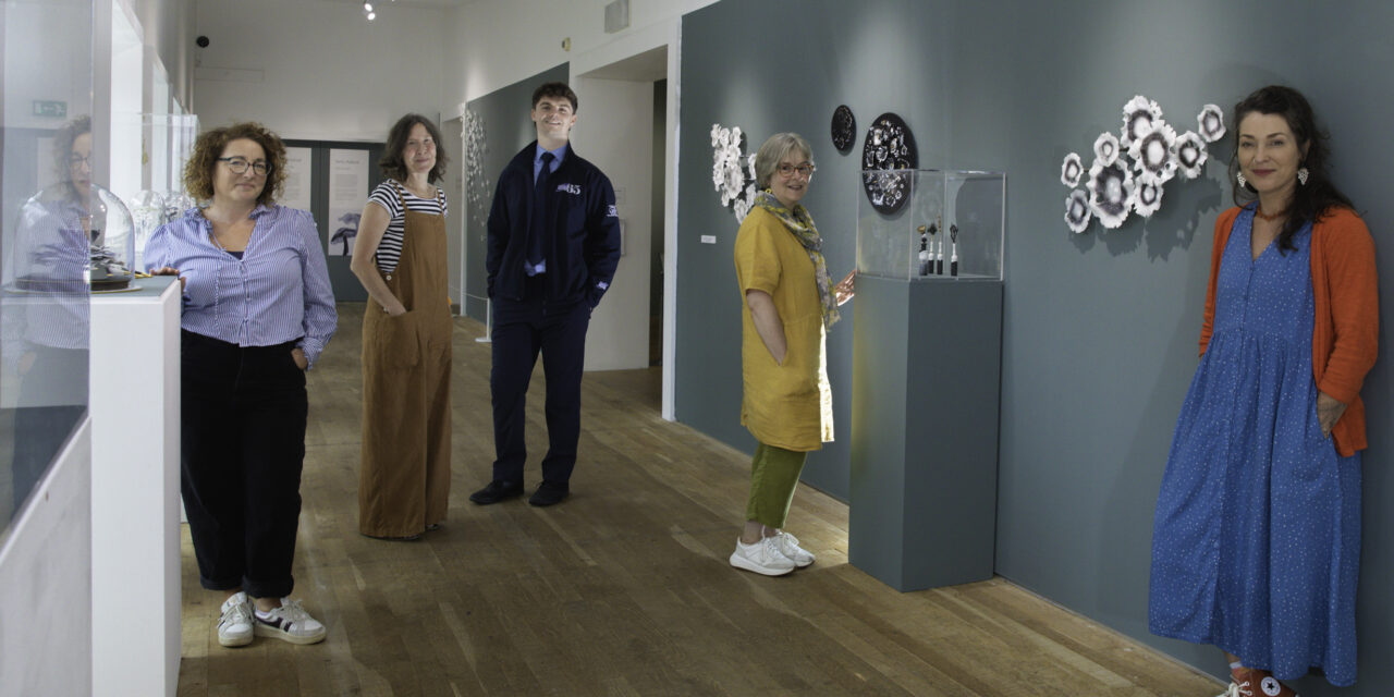 North Wales school arts programme returns after trailer firm’s £5k boost